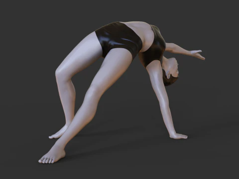 Yoga Pose - Wild Thing Pose - Camatkarasana 3D Print Model
