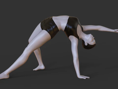 Yoga Pose - Wild Thing Pose - Camatkarasana 3D Print Model