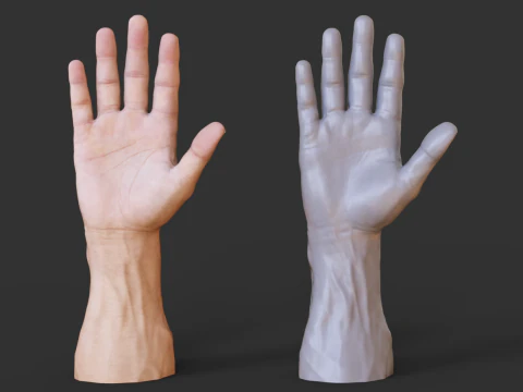 Male Hand Pose - Gesture - 1 3D Print Model