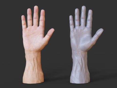 Male Hand Pose - Gesture - 1 3D 打印模型