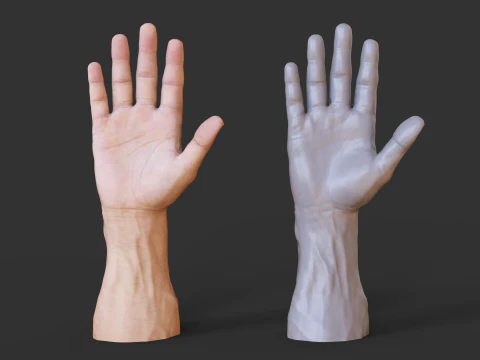 Male Hand Pose - Gesture - 1 3D Print Model