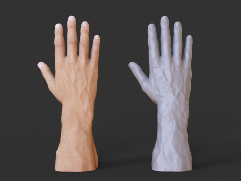 Male Hand Pose - Gesture - 1 3D 打印模型