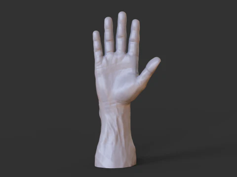 Male Hand Pose - Gesture - 1 3D Print Model