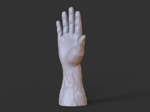 Male Hand Pose - Gesture - 1 3D Print Model