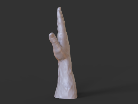 Male Hand Pose - Gesture - 1 3D 打印模型