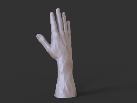 Male Hand Pose - Gesture - 1 3D Print Model