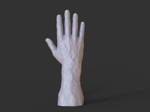 Male Hand Pose - Gesture - 1 3D Print Model