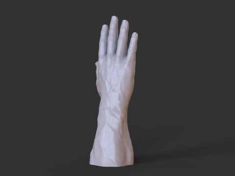 Male Hand Pose - Gesture - 1 3D 打印模型