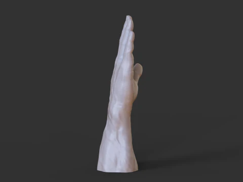 Male Hand Pose - Gesture - 1 3D Print Model