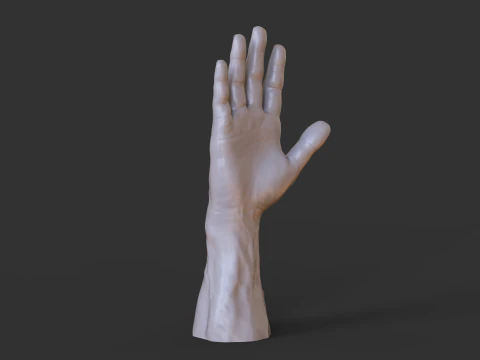Male Hand Pose - Gesture - 1 3D Print Model