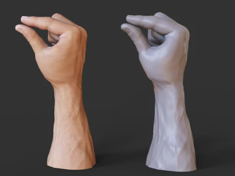 Male Hand Pose - Gesture - 2 3D Print Model