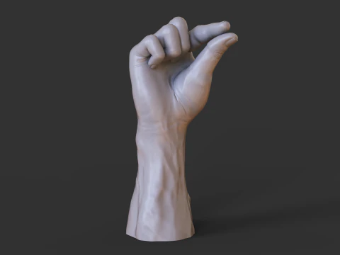 Male Hand Pose - Gesture - 2 3D Print Model