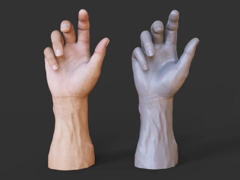 Male Hand Pose - Gesture - 3 3D Print Model
