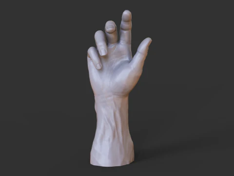 Male Hand Pose - Gesture - 3 3D Print Model
