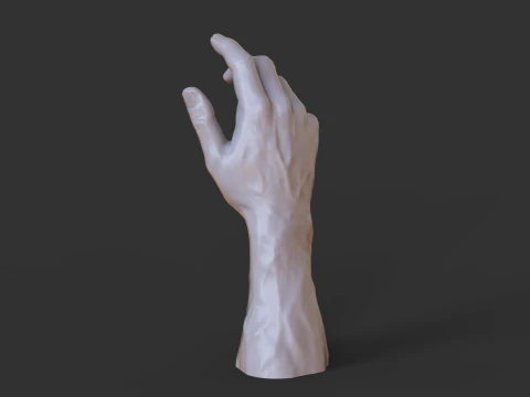 Male Hand Pose - Gesture - 3 3D Print Model