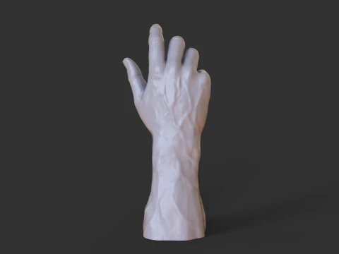 Male Hand Pose - Gesture - 3 3D Print Model