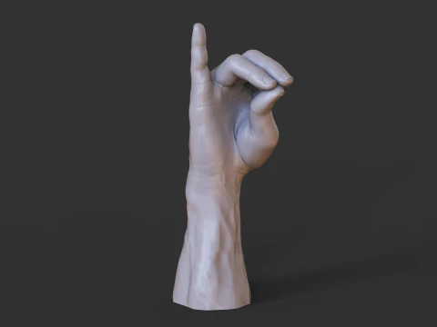 Male Hand Pose - Gesture - 4 3D Print Model