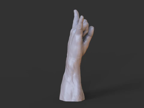 Male Hand Pose - Gesture - 5 3D Print Model