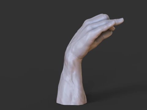 Male Hand Pose - Gesture - 6 3D Print Model