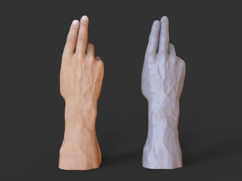 Male Hand Pose - Gesture - 7 3D Print Model