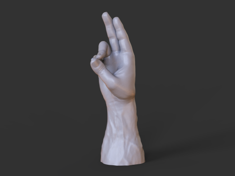 Male Hand Pose - Gesture - 7 3D 打印模型