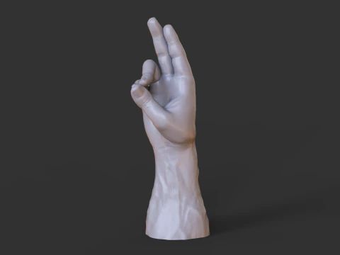 Male Hand Pose - Gesture - 7 3D Print Model