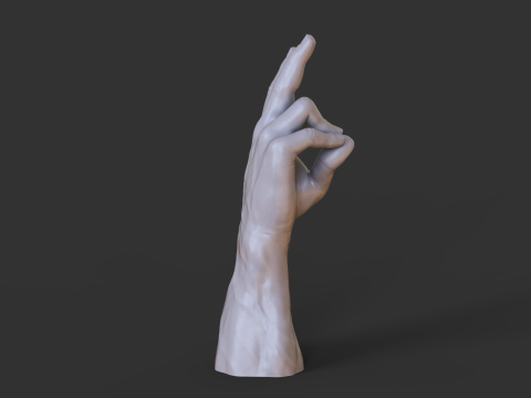 Male Hand Pose - Gesture - 7 3D 打印模型