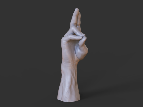 Male Hand Pose - Gesture - 7 3D 打印模型
