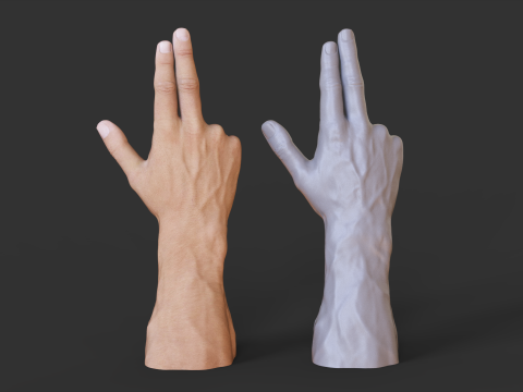 Male Hand Pose - Gesture - 9 Modello di stampa 3D