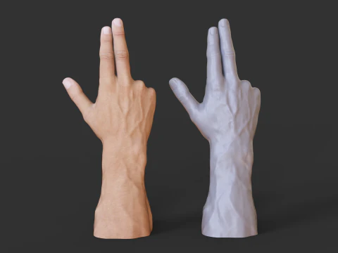 Male Hand Pose - Gesture - 9 3D Print Model