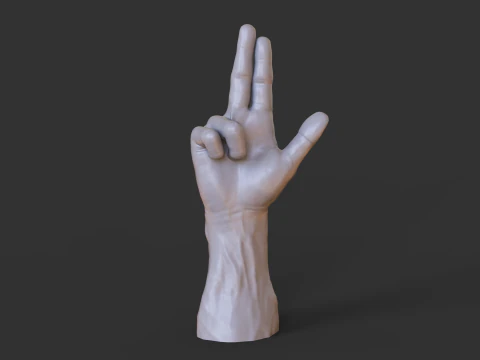 Male Hand Pose - Gesture - 9 3D Print Model