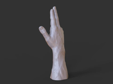 Male Hand Pose - Gesture - 9 3D Print Model