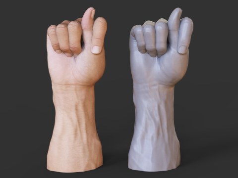Male Hand Pose - Gesture - 10 Model Cetak 3D