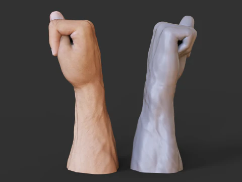 Male Hand Pose - Gesture - 10 3D Print Model