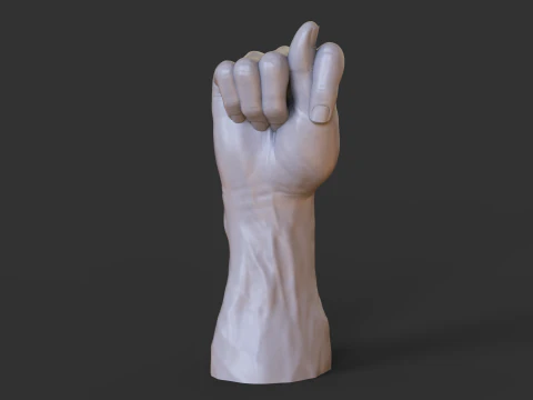 Male Hand Pose - Gesture - 10 3D Print Model