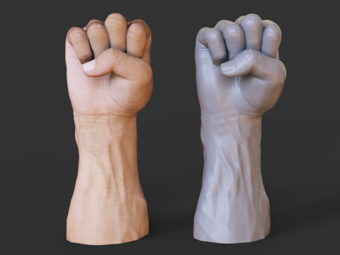 Male Hand Pose - Gesture - 11 Model Cetak 3D