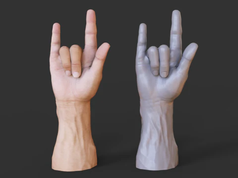 Male Hand Pose - Gesture - 12 3D Print Model