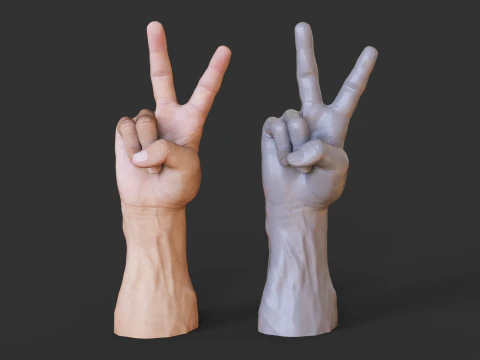 Male Hand Pose - Gesture - 14 3D Print Model