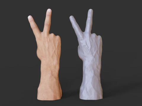Male Hand Pose - Gesture - 14 3D Print Model