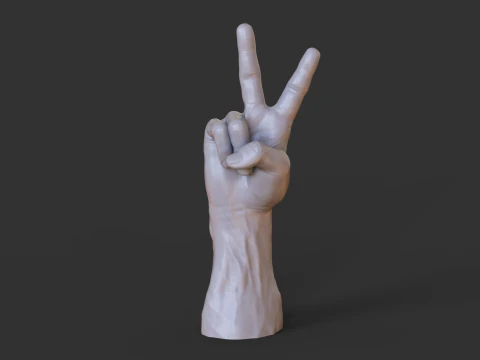 Male Hand Pose - Gesture - 14 3D Print Model