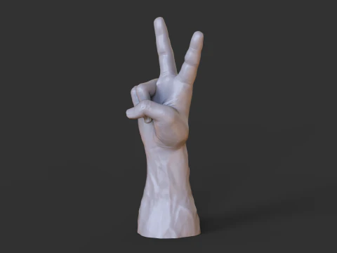 Male Hand Pose - Gesture - 14 3D Print Model