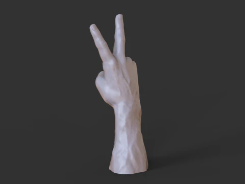 Male Hand Pose - Gesture - 14 3D Print Model