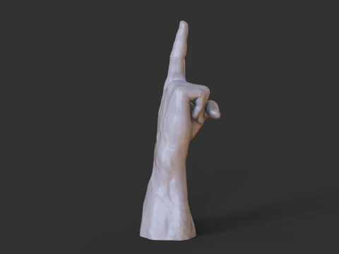 Male Hand Pose - Gesture - 14 3D Print Model