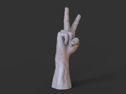 Male Hand Pose - Gesture - 14 3D Print Model