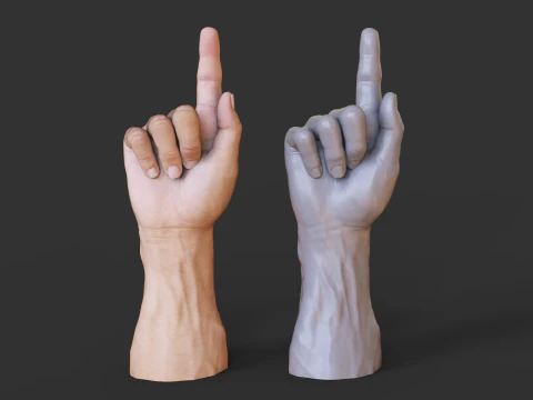 Male Hand Pose - Gesture - 15 3D Print Model