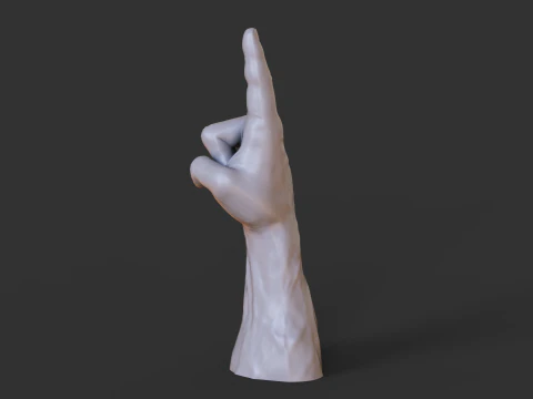 Male Hand Pose - Gesture - 16 3D Print Model