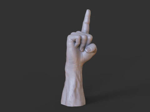 Male Hand Pose - Gesture - 16 3D Print Model
