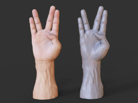 Male Hand Pose - Gesture - 17 3D Print Model