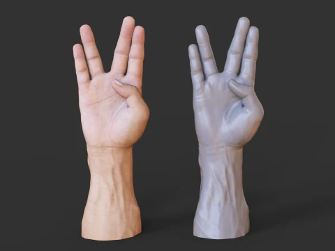 Male Hand Pose - Gesture - 17 3D Print Model