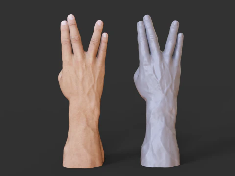 Male Hand Pose - Gesture - 17 3D Print Model